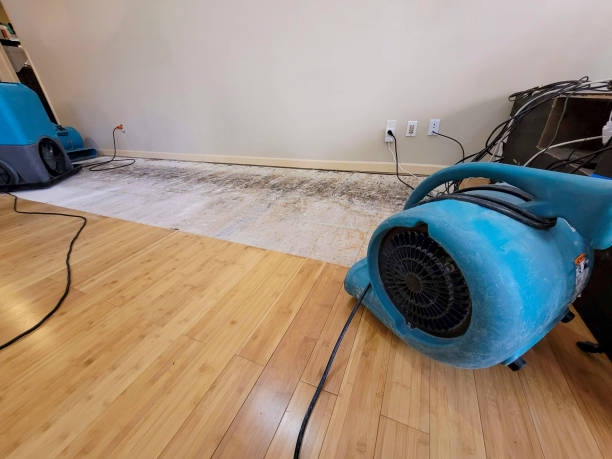 Professional Water Removal technician working in Ballwin, MO